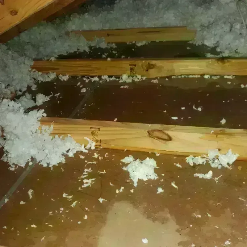 Attic Water Damage in Ellijay, GA